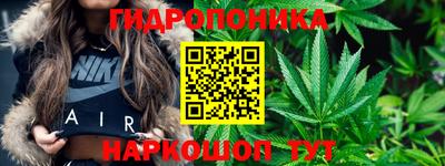 гидра Краснознаменск