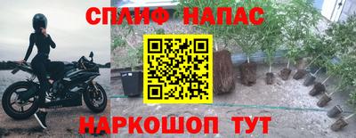 гидра Краснознаменск