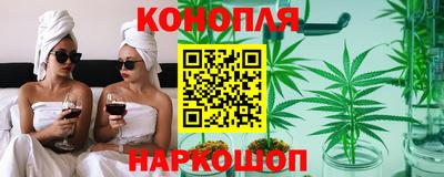 гидра Краснознаменск