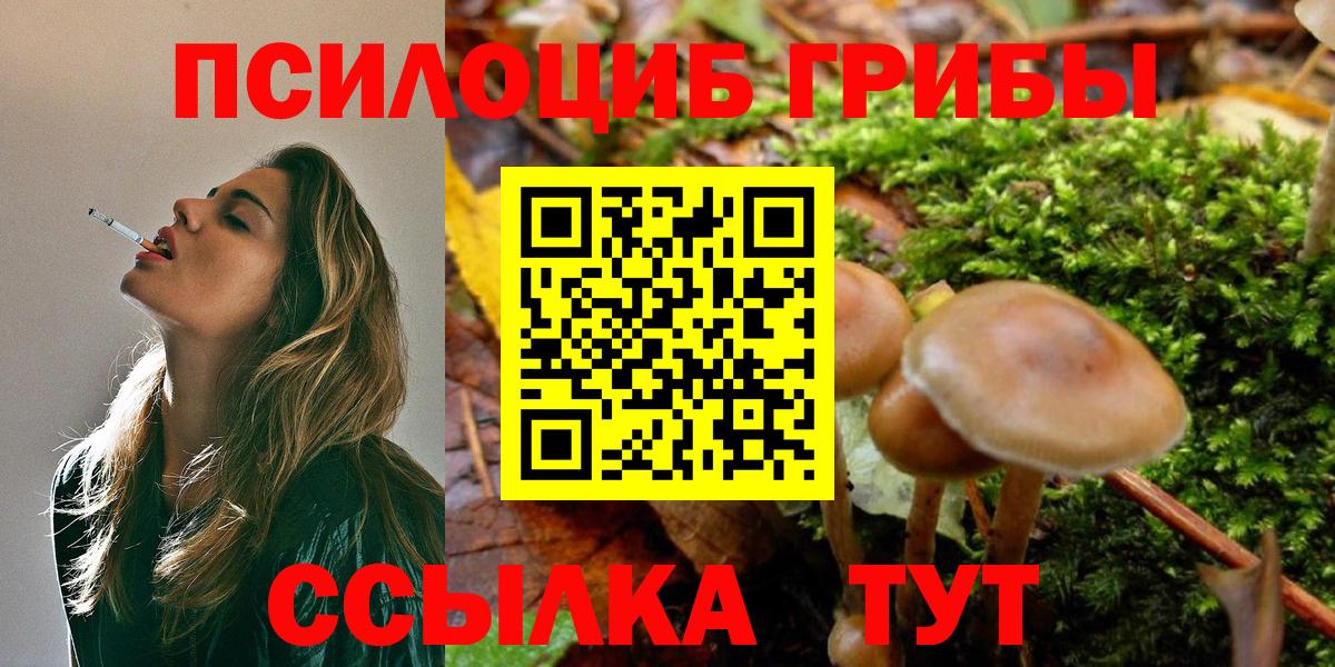 Галлюциногенные грибы ЛСД Кинель