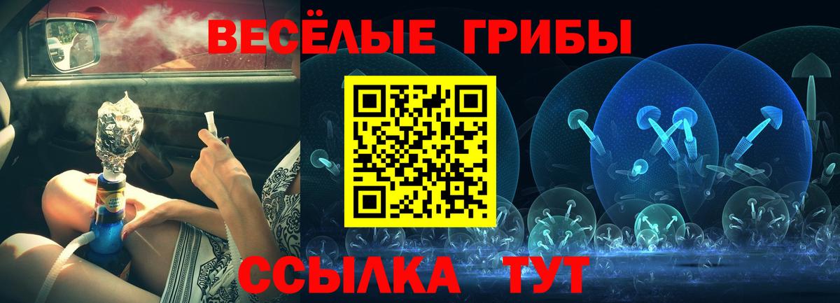 Псилоцибиновые грибы Cubensis  Вход с VPN  Кинель  Галлюциногенные грибы MAGIC MUSHROOMS 