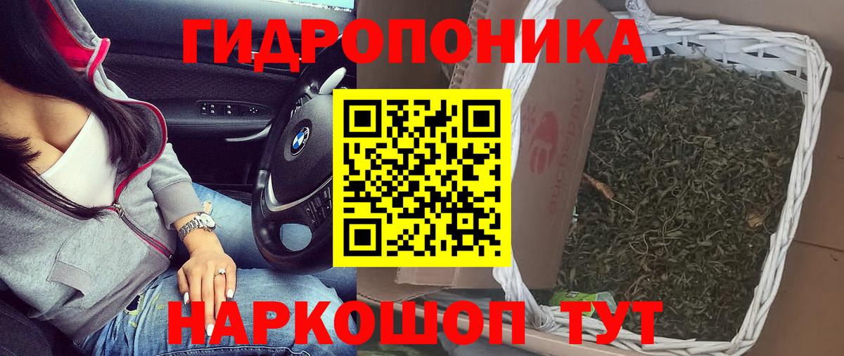 Марихуана конопля  Шишки марихуана AK-47  Бошки Шишки гибрид  Каннабис Amnesia  Кинель  Вход с VPN 